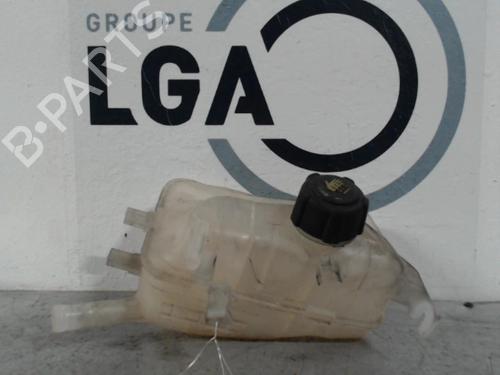 Used Expansion tank RENAULT MEGANE III Grandtour (KZ0/1) 1.5 dCi (KZ0C, KZ1A) (90 hp) 13868232