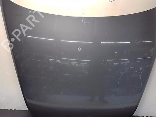 Hood VW TOUAREG (7LA, 7L6, 7L7) 2.5 R5 TDI | BP13829321C1 