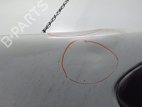Left front fenders IVECO DAILY IV Van  | BP23869225C41 
