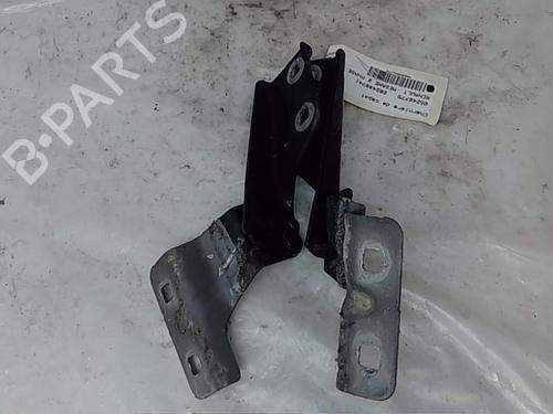 Hinge/Door check strap RENAULT MEGANE II (BM0/1_, CM0/1_) 2.0 dCi | BP17952016C146 