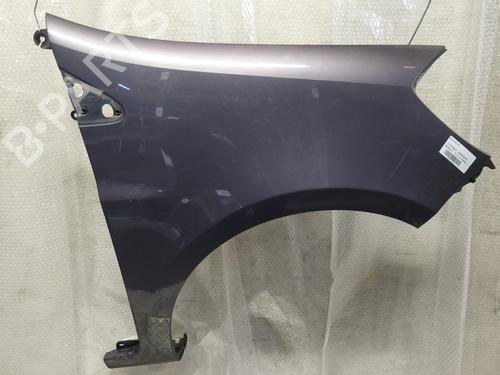 Aleta delantera derecha RENAULT CLIO III (BR0/1, CR0/1) [2005-2014]  30824606