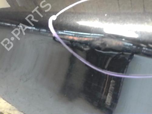 Left front door BMW 1 (E81)  | BP22187901C2 