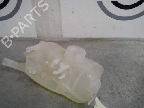Used Expansion tank RENAULT MEGANE III Hatchback (BZ0/1_, B3_) 1.5 dCi (BZ0C) (90 hp) 13865952