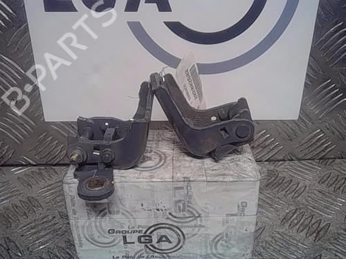 Hinge/Door check strap RENAULT CLIO V (B7_) 1.0 TCe 100 (B7MT) | BP14554894C146 