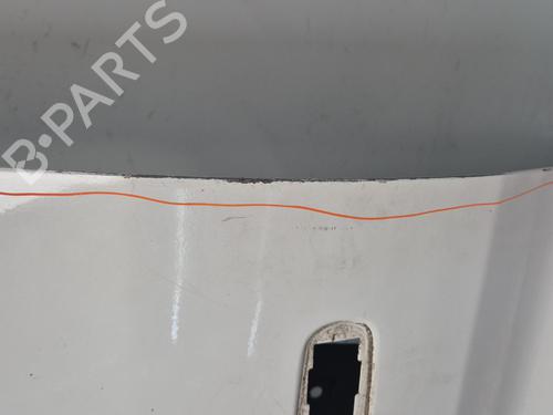 Used Left front door Left front door FORD TRANSIT V363 Van (FCD, FDD) 2.0 EcoBlue (130 hp) 36444203 36444203