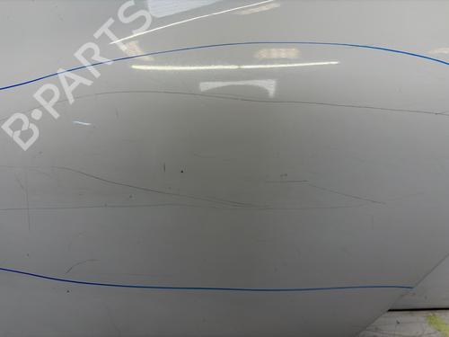 Used Left rear door Left rear door 38313544 38313544