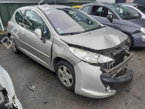 Left front door PEUGEOT 207 (WA_, WC_)  | BP13846799C2 
