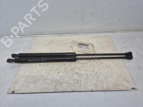 gasdmper-bagklap-citroen-c3-ii-sc_-2009-33211036 main image