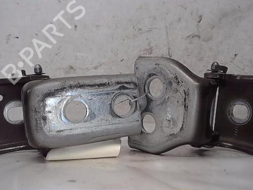 Used Hinge/Door check strap CITROËN DS4 (NX_) 1.6 VTi 120 (120 hp) 14568359