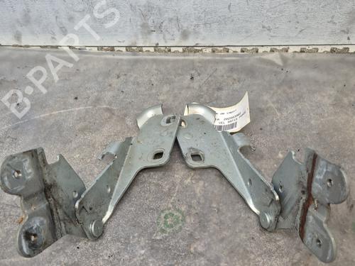 Used Hinge/Door check strap RENAULT VEL SATIS (BJ0_) 2.2 dCi (BJ0E, BJ0F) (150 hp) 30767069