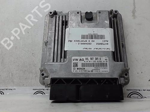 Engine control unit (ECU) AUDI A3 Sportback (8VA, 8VF)  | BP17326417M57 
