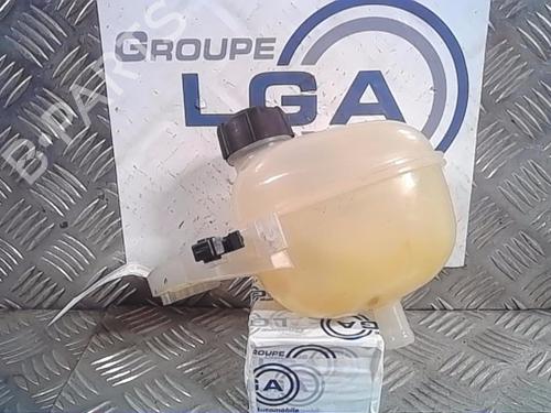 Used Expansion tank RENAULT TWINGO III (BCM_, BCA_) [2014-2025]  13860001