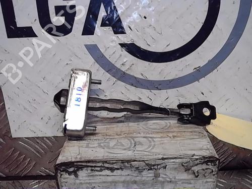 Hinge/Door check strap RENAULT SCÉNIC IV (J9_) 1.3 TCe 160 (J9NC) 804301428R