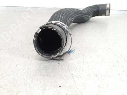 Pipe PEUGEOT TRAVELLER Bus (V_) 2.0 BlueHDi 145 | BP37486553M125 - Image 2