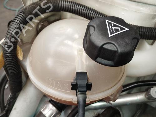 expansion-tank-peugeot-2008-i-cu_-2013-37154203 main image
