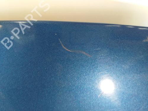 Hood RENAULT CLIO III (BR0/1, CR0/1)  | BP7229827C1 