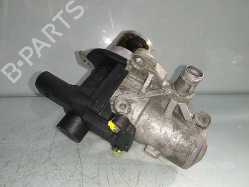 Egr NISSAN QASHQAI / QASHQAI +2 I (J10, NJ10, JJ10E)  | BP5849220M69 