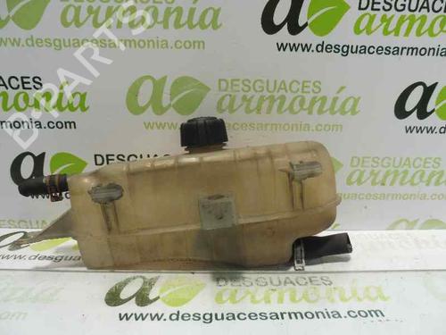 Used Expansion tank RENAULT CLIO III (BR0/1, CR0/1) [2005-2014]  2345989