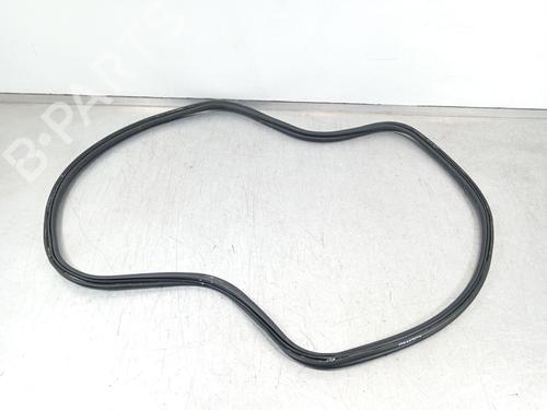 Rubber door seal BMW 4 Coupe (G22, G82) M4 Competition M xDrive | BP29279770C142 