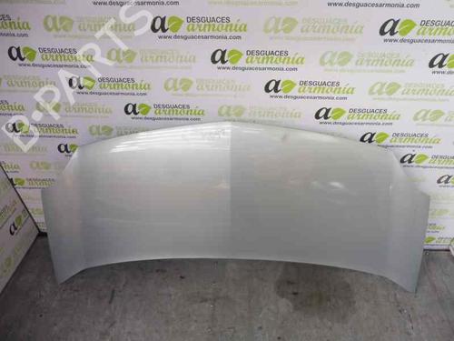 Hood RENAULT KANGOO / GRAND KANGOO II (KW0/1_)  | BP1987416C1 