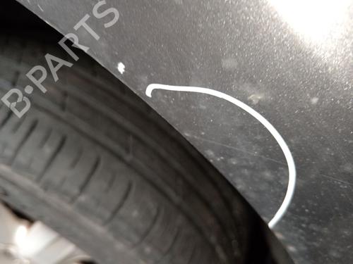 Left front fenders RENAULT LAGUNA III (BT0/1) 2.0 dCi (BT01, BT08, BT09, BT0E, BT0K, BT12, BT1C, BT1D,... | BP30271893C41