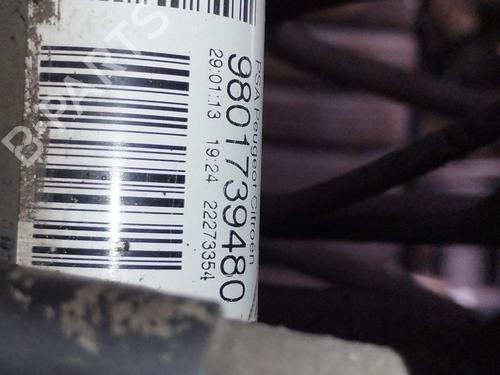 Left rear shock absorber CITROËN C3 II (SC_) 1.4 VTi 95 | BP37460030M18 - Image 2