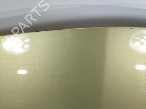 Hood RENAULT MEGANE II (BM0/1_, CM0/1_)  | BP10327067C1 