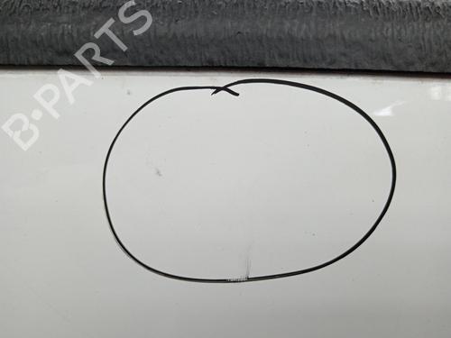 Tailgate FORD RANGER (TKE) | BP17438519C6