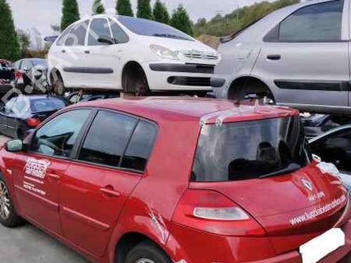 Tailgate RENAULT MEGANE II (BM0/1_, CM0/1_)  | BP1879001C6 