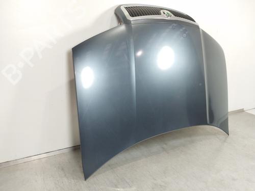 Hood SKODA FABIA I (6Y2) 1.9 SDI | BP16796051C1 