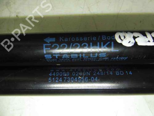 Tailgate lift support BMW 2 Coupe (F22, F87) 218 d | BP14301238C138 