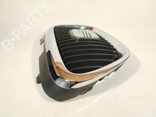 Grille SEAT LEON (1P1) 1.9 TDI | BP32020085C40