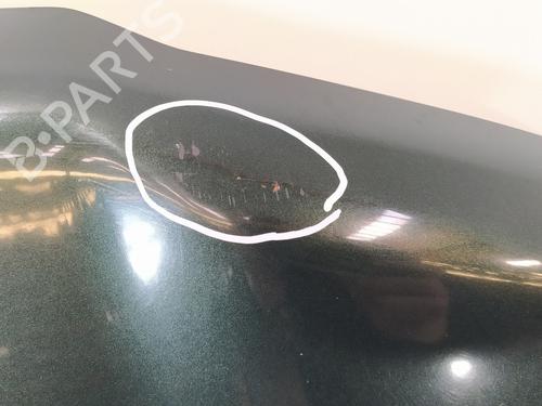 Hood LAND ROVER FREELANDER I (L314)  | BP9074718C1 