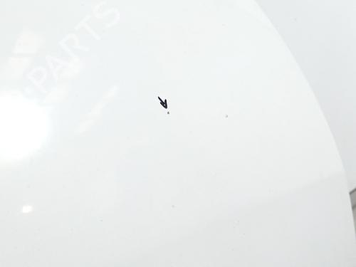 Hood FIAT DUCATO Van (250_) 115 Multijet 2,0 D | BP24935475C1