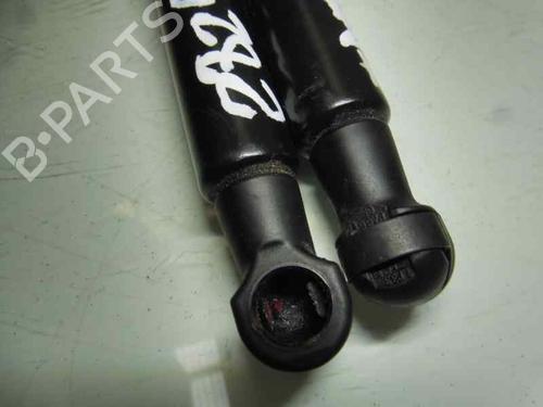 Tailgate lift support BMW 2 Coupe (F22, F87) 218 d | BP14301238C138 
