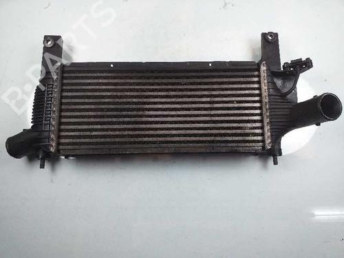 Used Intercooler NISSAN NAVARA NP300 (D40) [2004-2025]  4858876