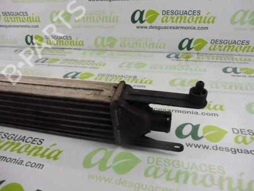 Intercooler FIAT GRANDE PUNTO (199_)  | BP27296973M30 
