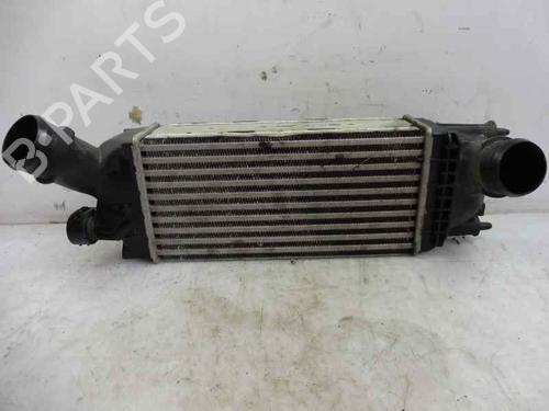 Used Intercooler CITROËN C5 III (RD_) [2008-2017]  2683693