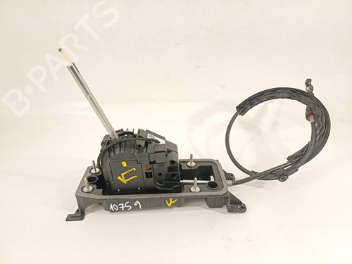 Gearstang Gearstang 13898266 13898266