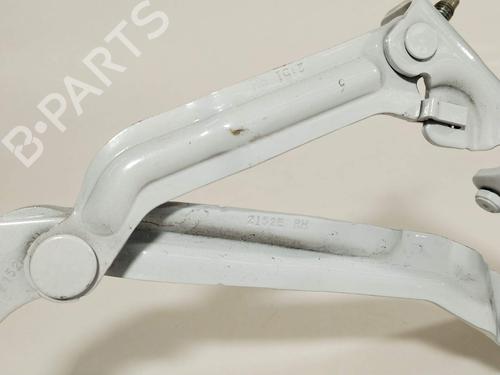 Hinge/Door check strap TESLA MODEL 3 (5YJ3) EV | BP36238596C146 - Image 5