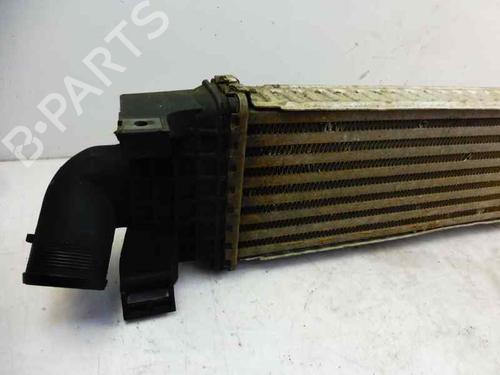 Intercooler FORD FOCUS II Turnier (DA_, FFS, DS) | BP1841897M30