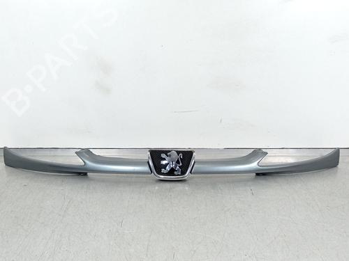 Used Grille PEUGEOT 206 CC (2D) 1.6 HDi 110 (109 hp) 30271902