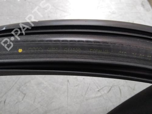 Rubber door seal AUDI A5 Sportback (F5A, F5F) 3.0 TDI quattro | BP25333050C142