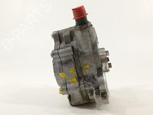 Vacuum pump VW PASSAT B6 (3C2)  | BP25761316M80 