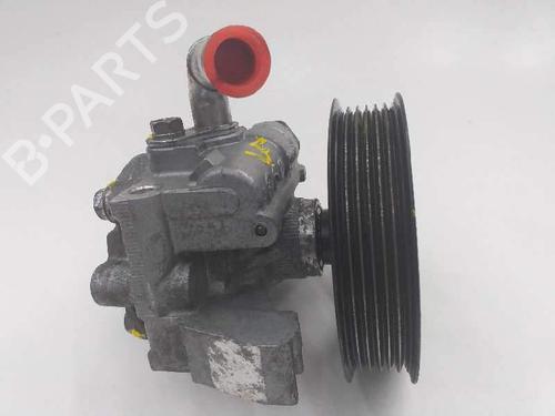 Used Steering pump Steering pump FORD TRANSIT CONNECT (P65_, P70_, P80_) [2002-2026] 5416341 5416341