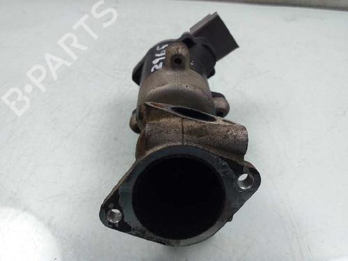 Egr LAND ROVER DISCOVERY III (L319)  | BP4893979M69 