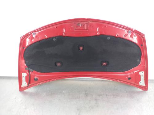 Hood RENAULT CLIO III (BR0/1, CR0/1)  | BP6299950C1 