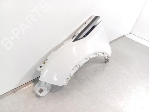 Left front fenders LAND ROVER RANGE ROVER EVOQUE (L538) 2.0 D | BP22731662C41