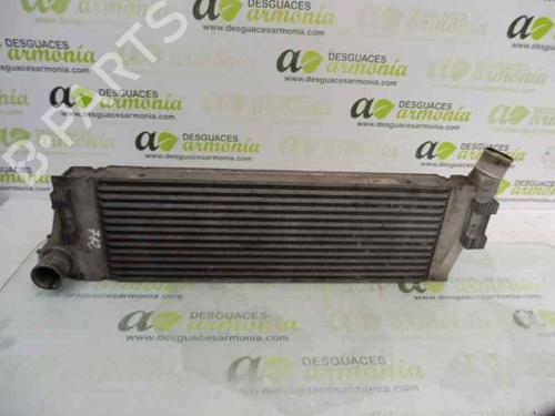 Intercooler RENAULT MEGANE II (BM0/1_, CM0/1_)  | BP1843891M30 