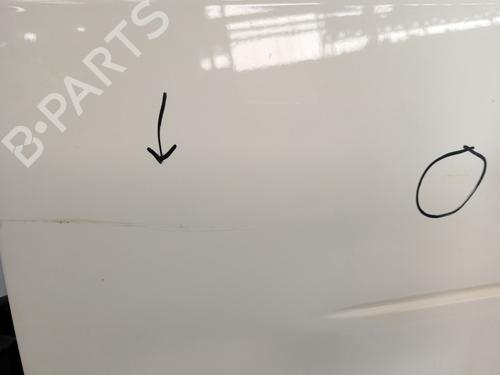 Left front door SMART CITY-COUPE (450)  | BP29892049C2